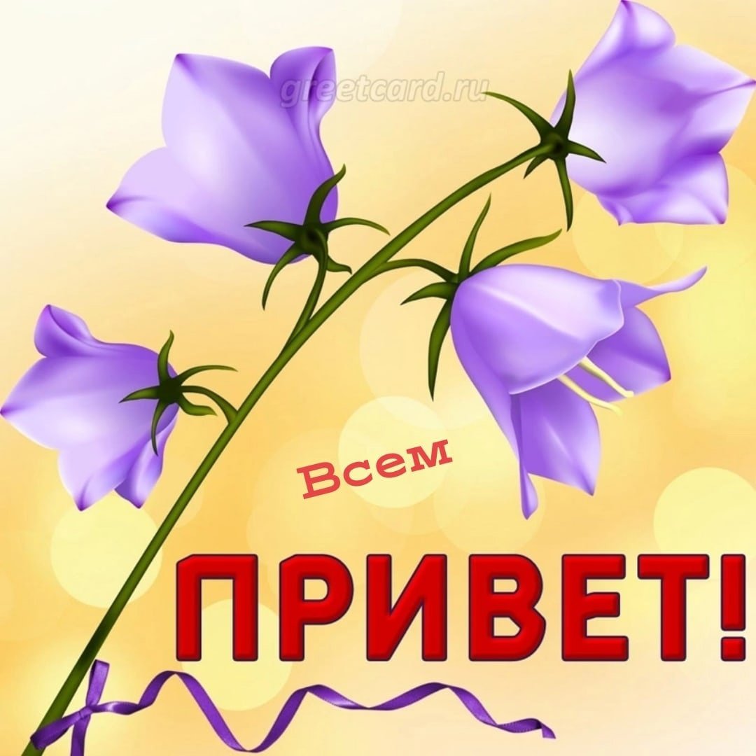 Открытки со словами привет