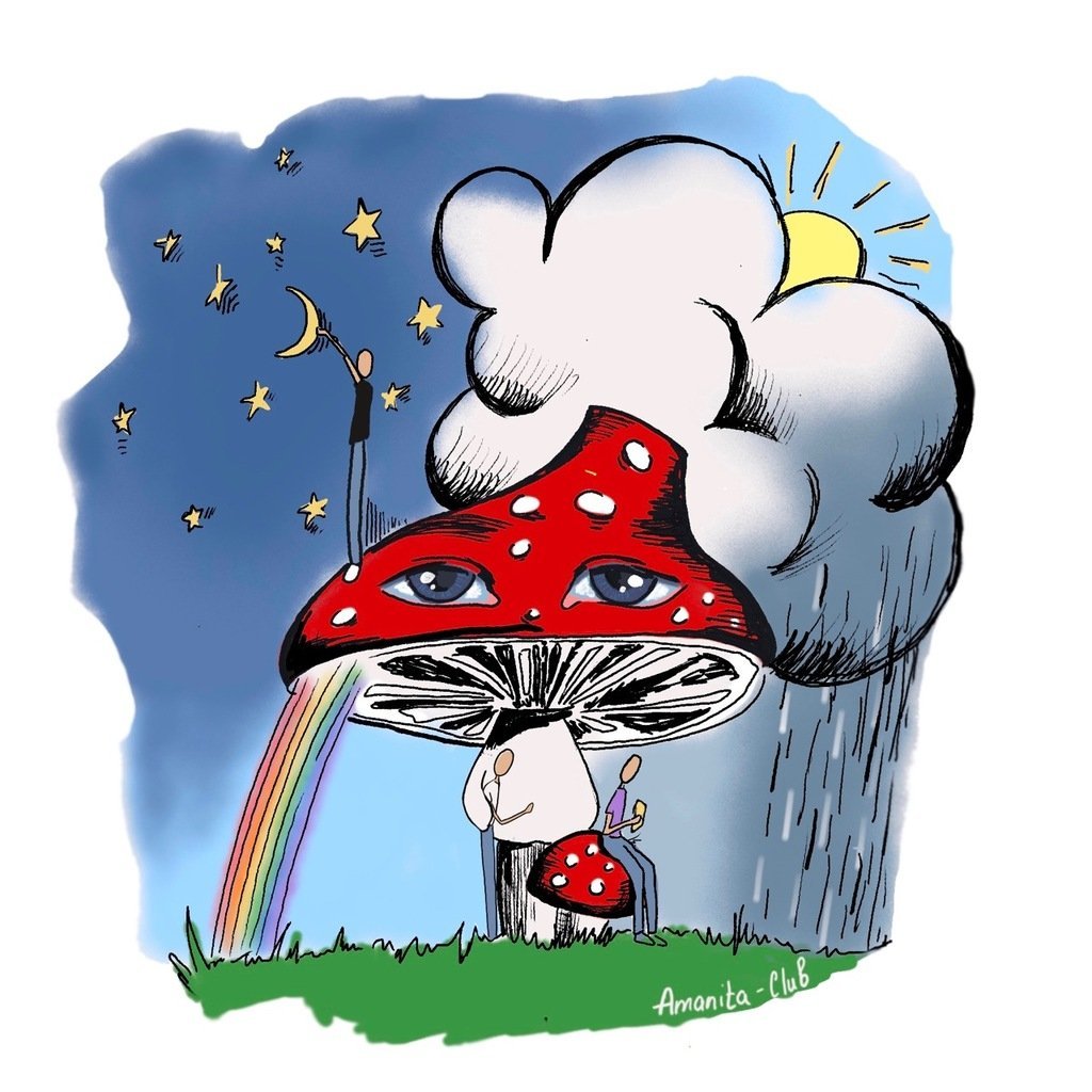 Веселый мухомор