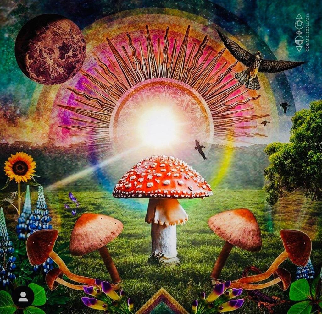 Аманита Мускария психоделика