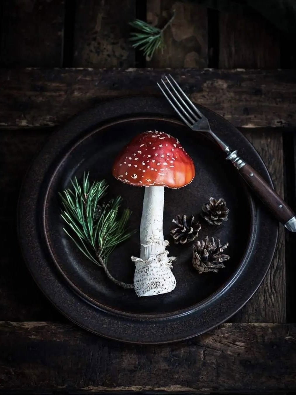 Мухоморный микродозинг Вишневского