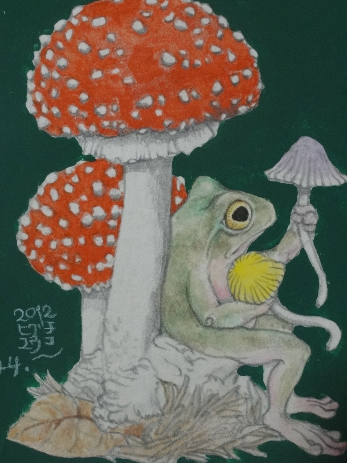 Гриб мухомор микродозинг