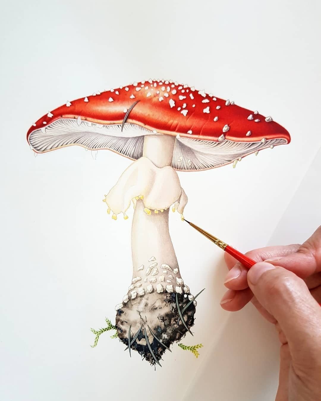 Мухомор фон