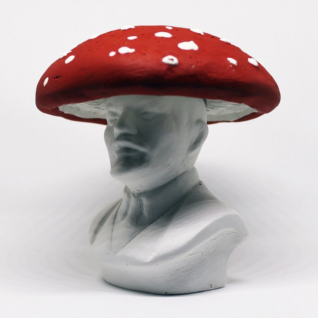 Touhou Marisa грибы