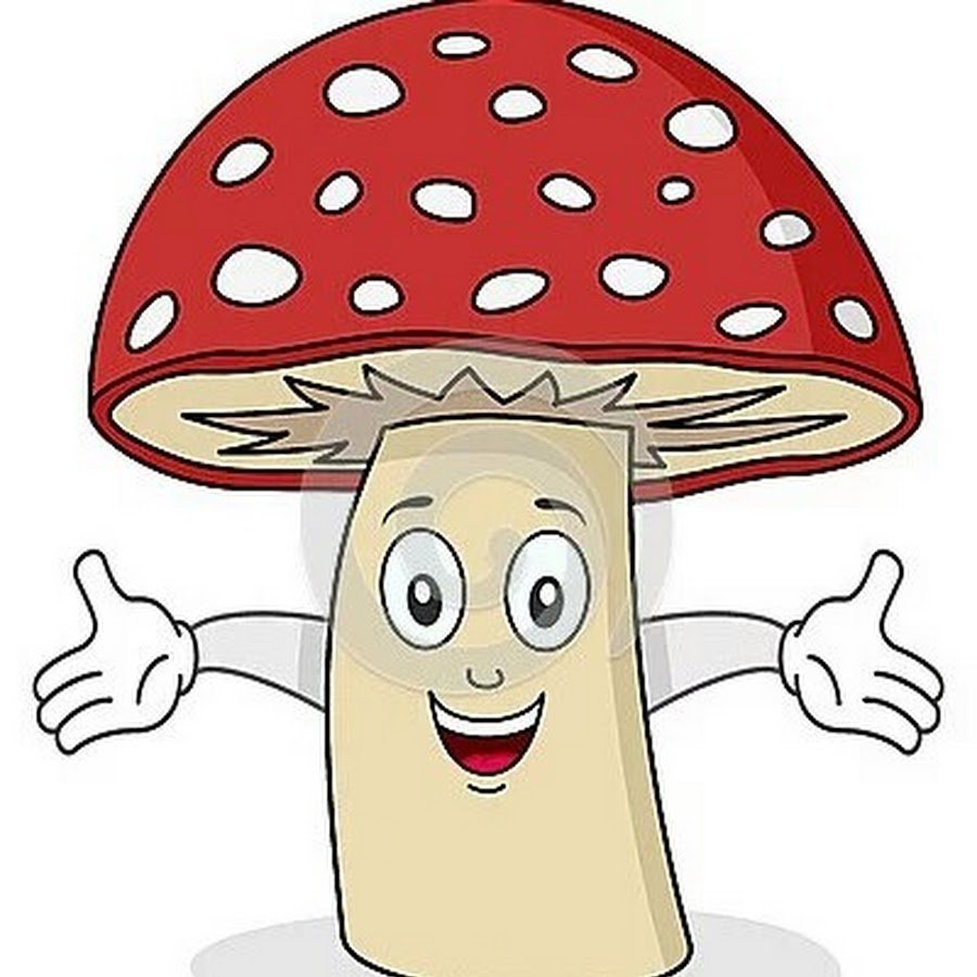 Дудлы грибы