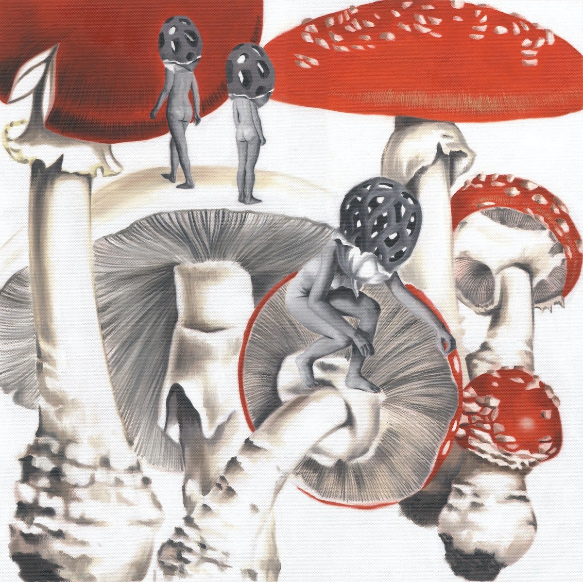 Аманита Мускария психоделика