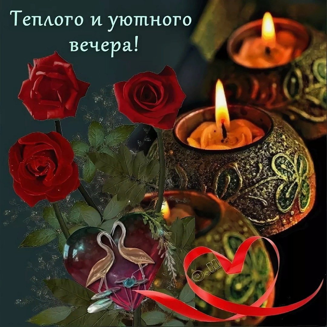 Прекрасного вечера и доброй ночи