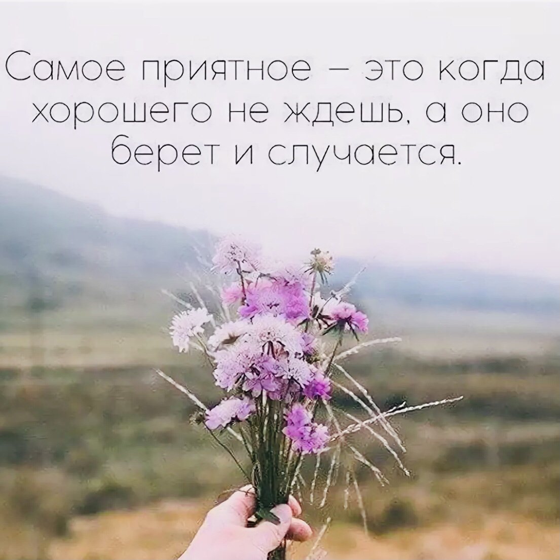 Мудрые высказывания