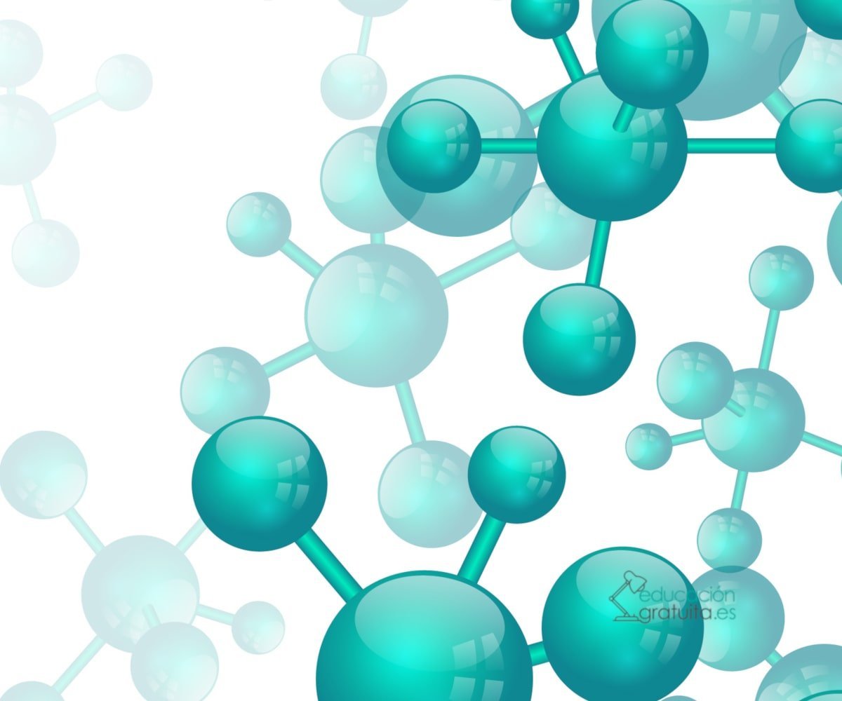 Молекула полимера