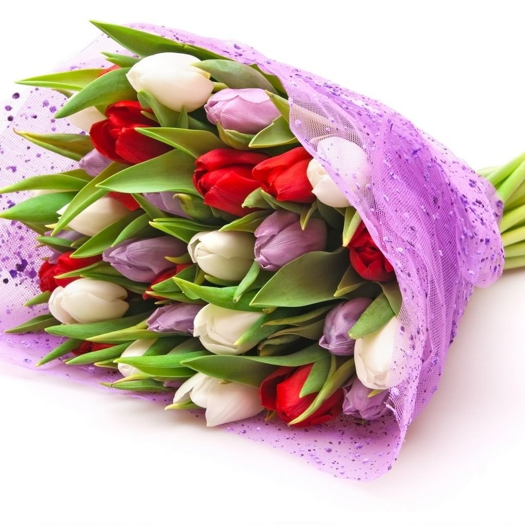Букет тюльпанов