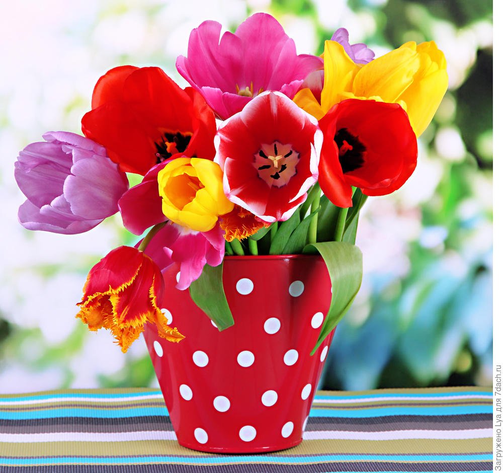 К празднику. 8 Марта