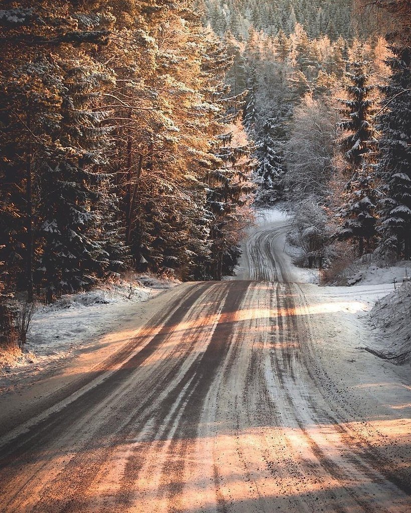 Зимняя трасса