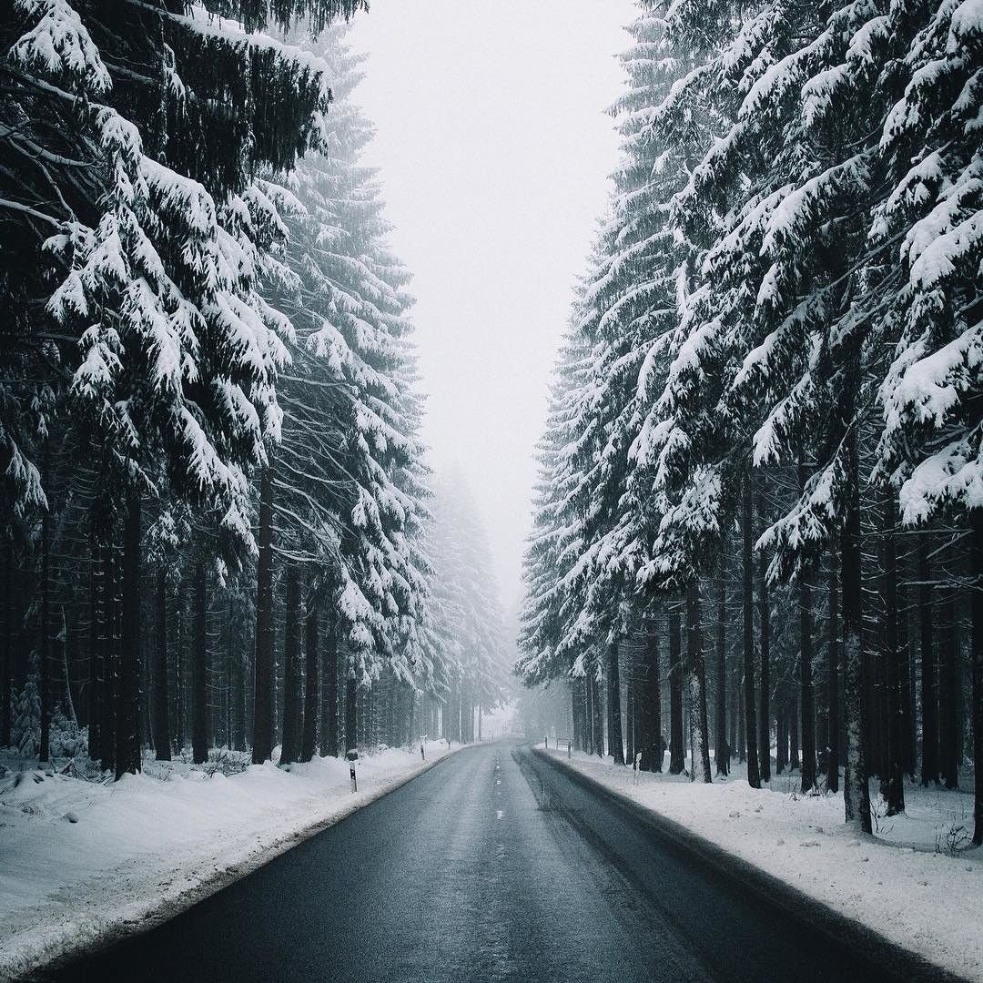 Заснеженная дорога