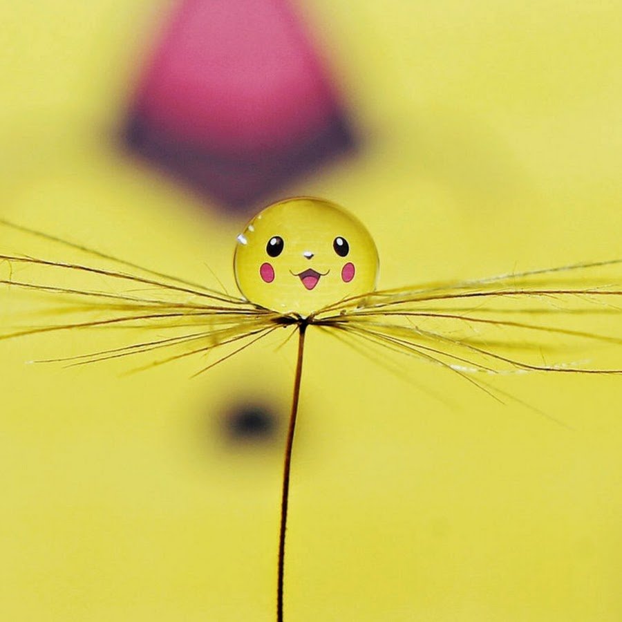 Яркая картинка поднимающая настроение