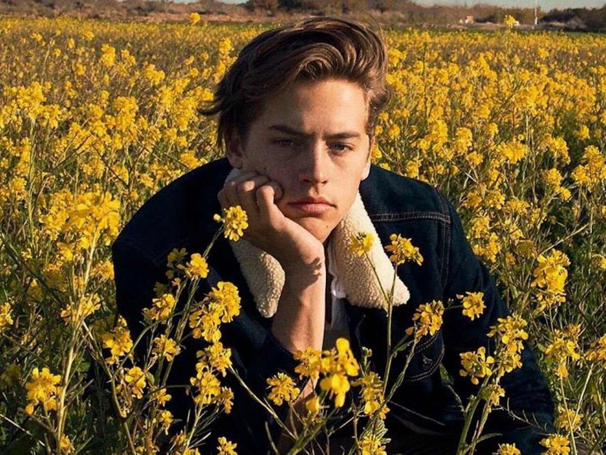 Джон Уильям Уотерхаус нарциссы