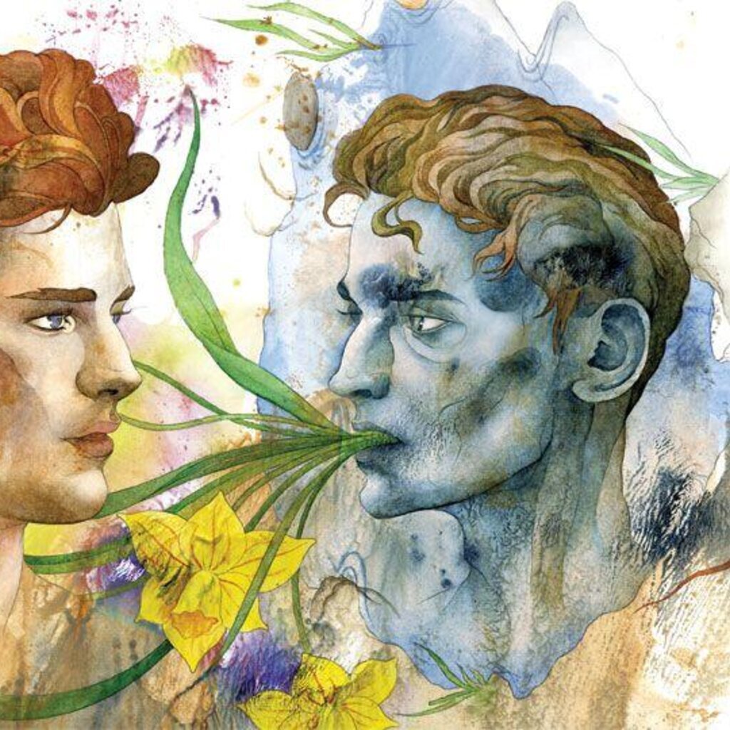 Нарциссы сюрреализм