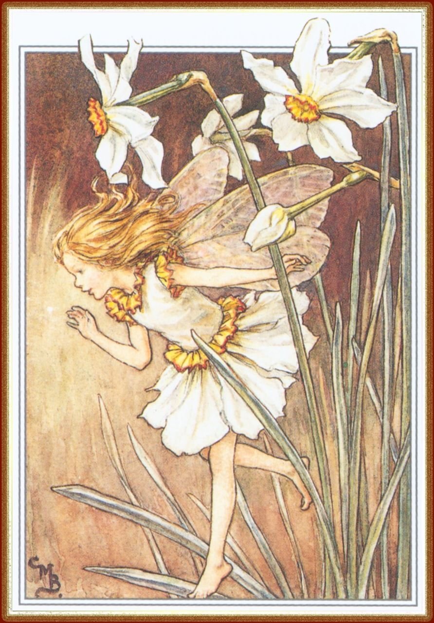 Нарциссы в руках