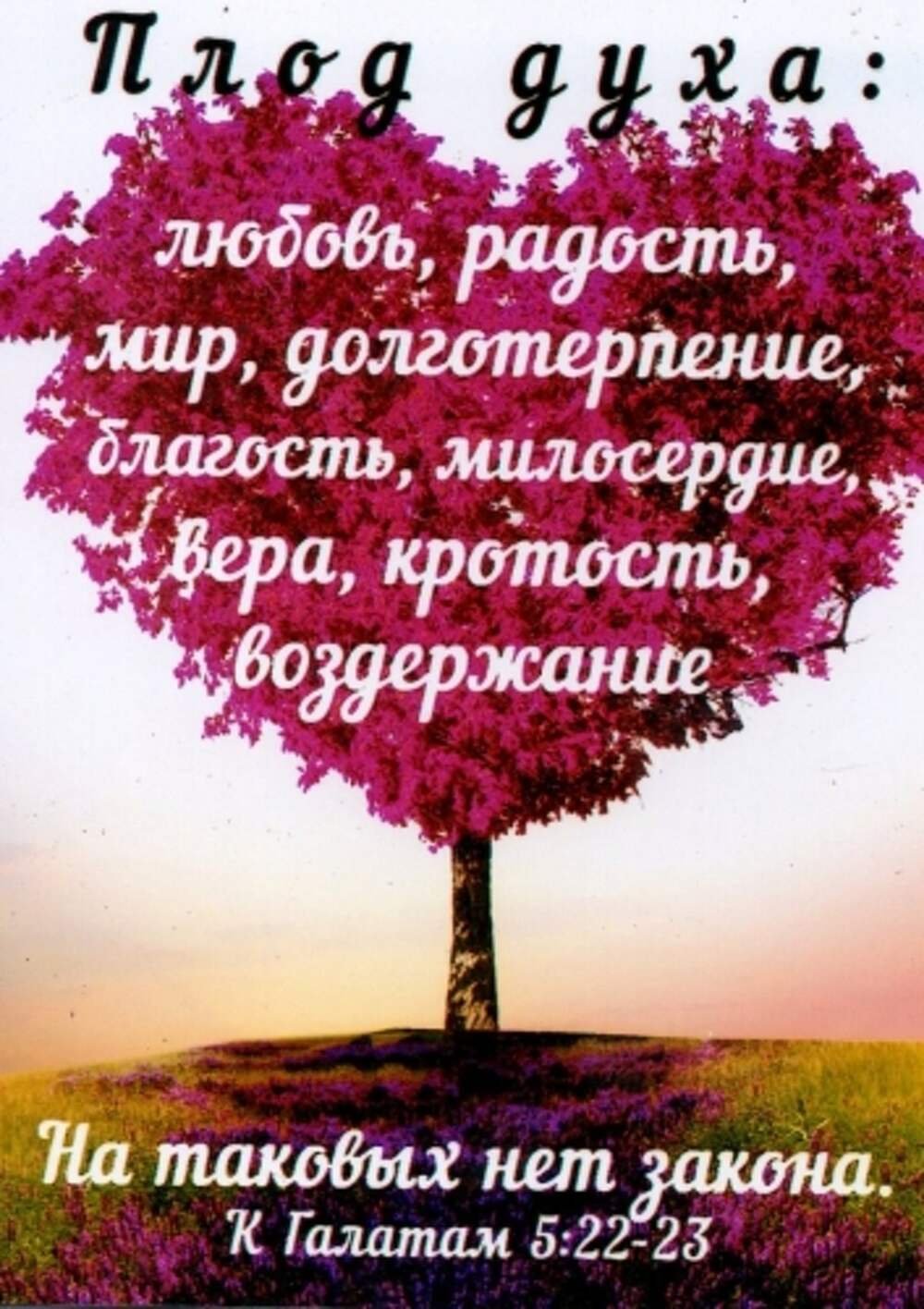 Открытки со стихами из Библии