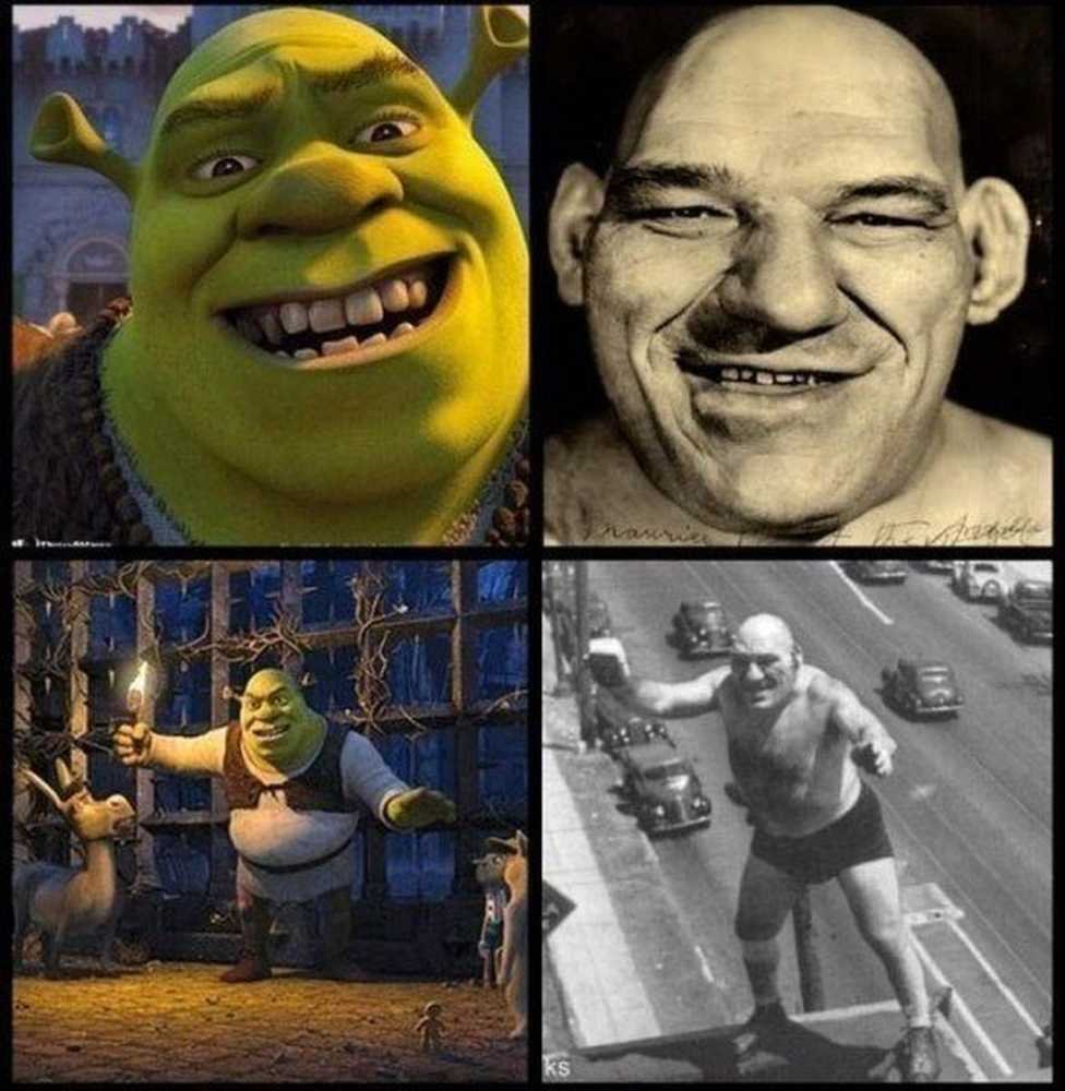 Шрек приколы