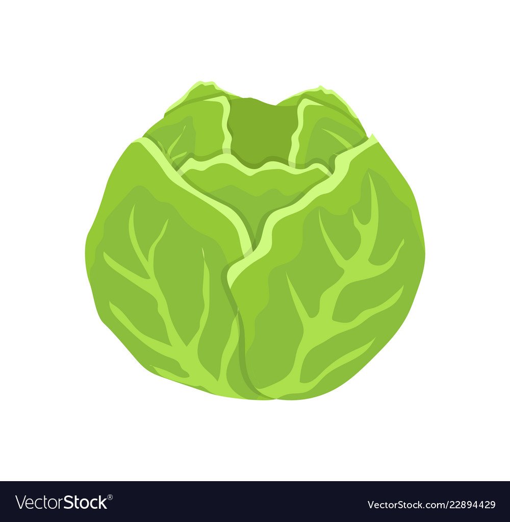 Капуста мультяшная