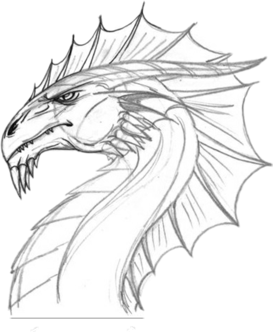 Драконы милые Наоми Лорд