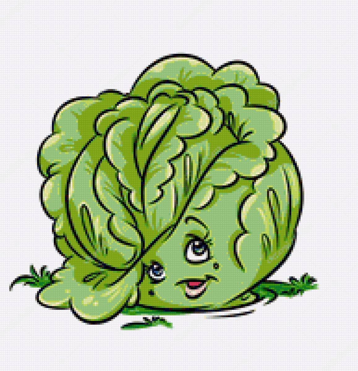 Капуста рисунок для детей