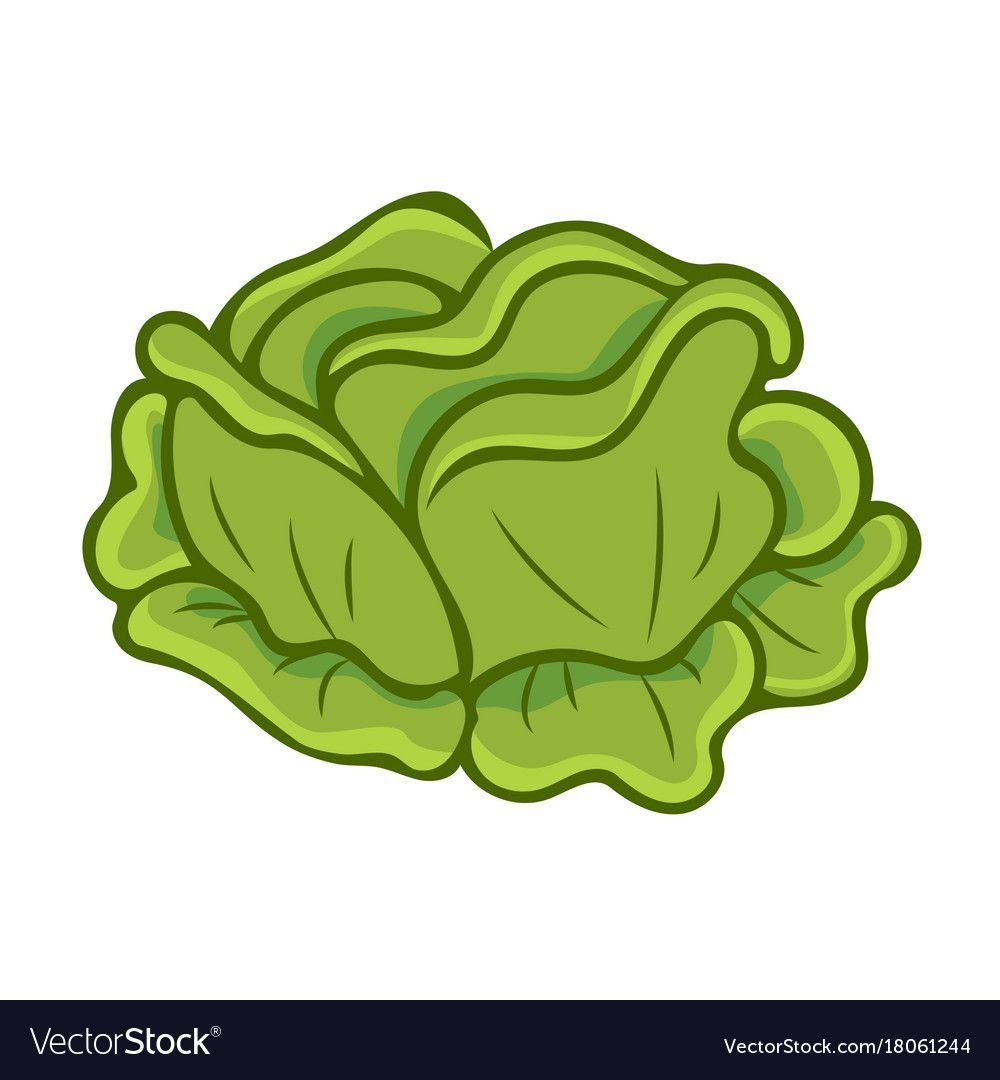 Cartoon капуста в грядке