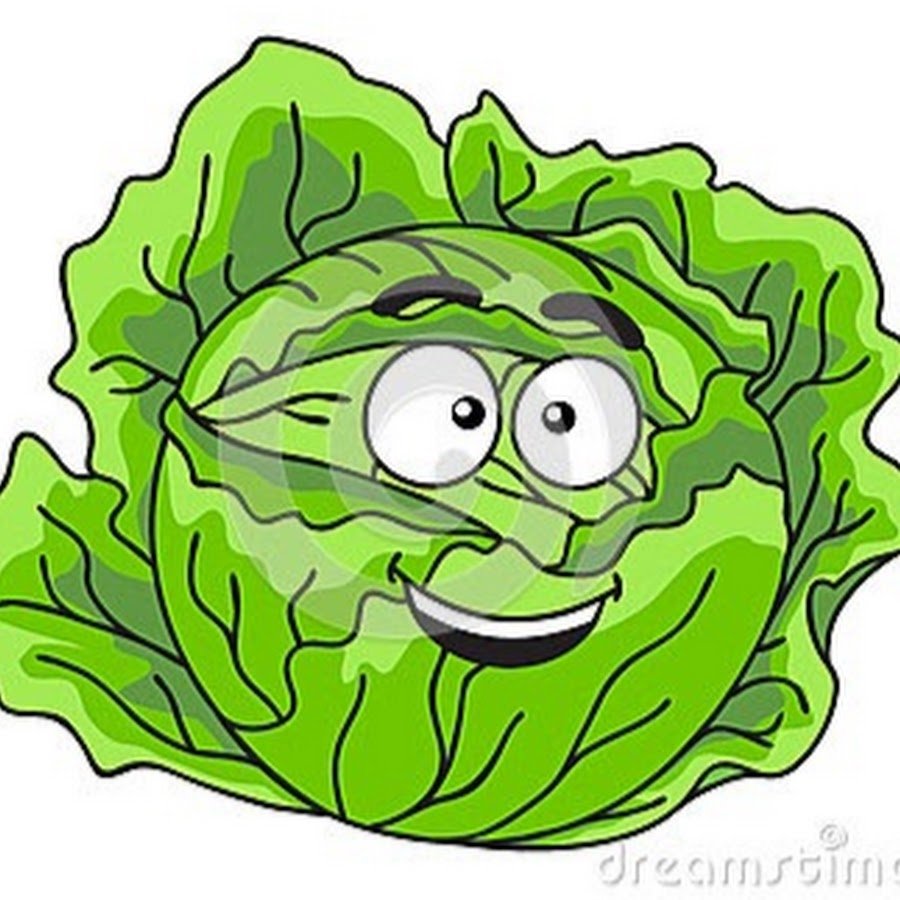 Капуста с глазами рисунок