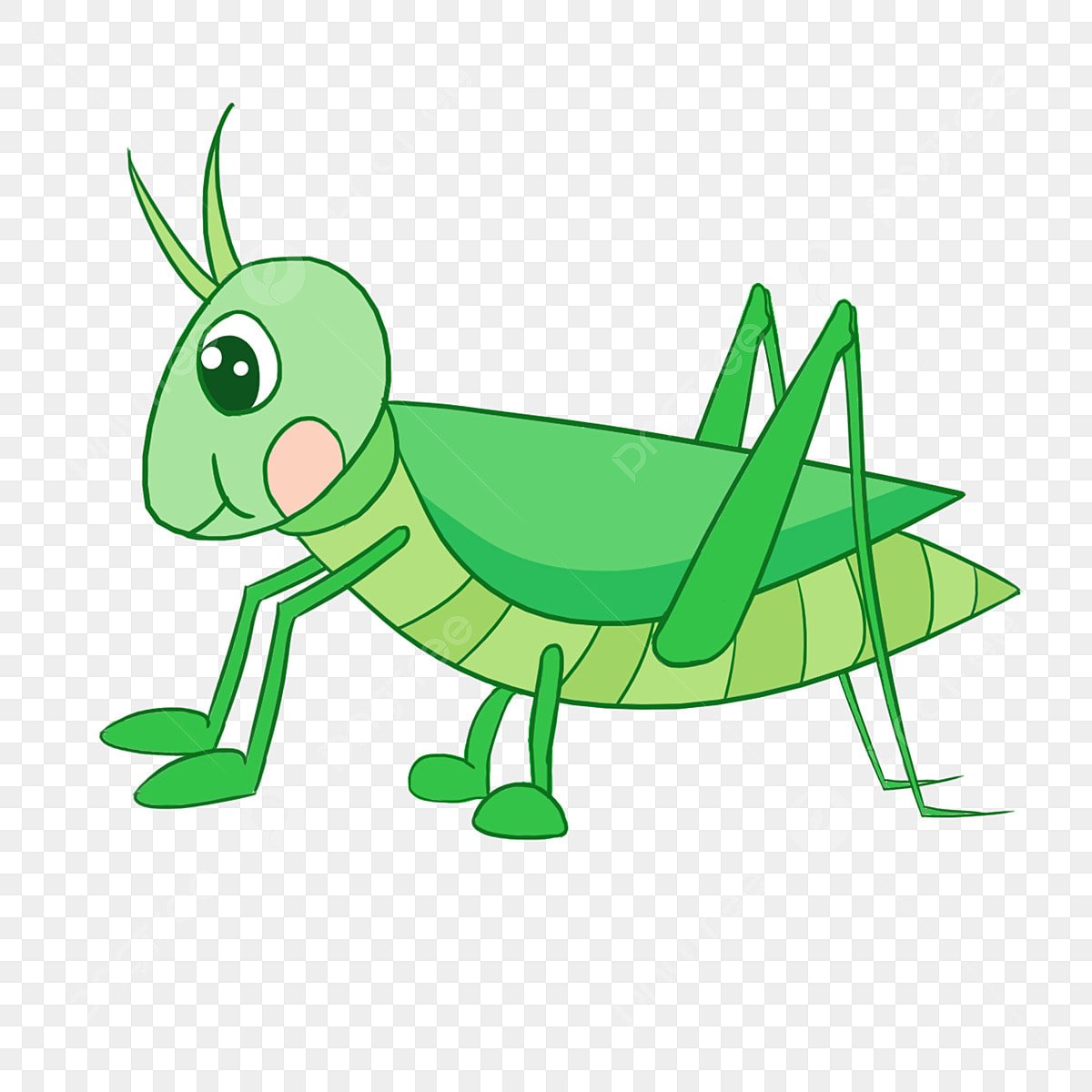 Кузнечик картинка для детей на прозрачном фоне