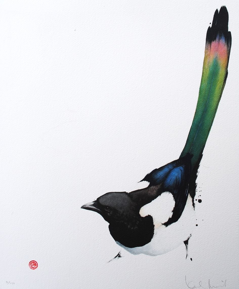 Сорока гуашью