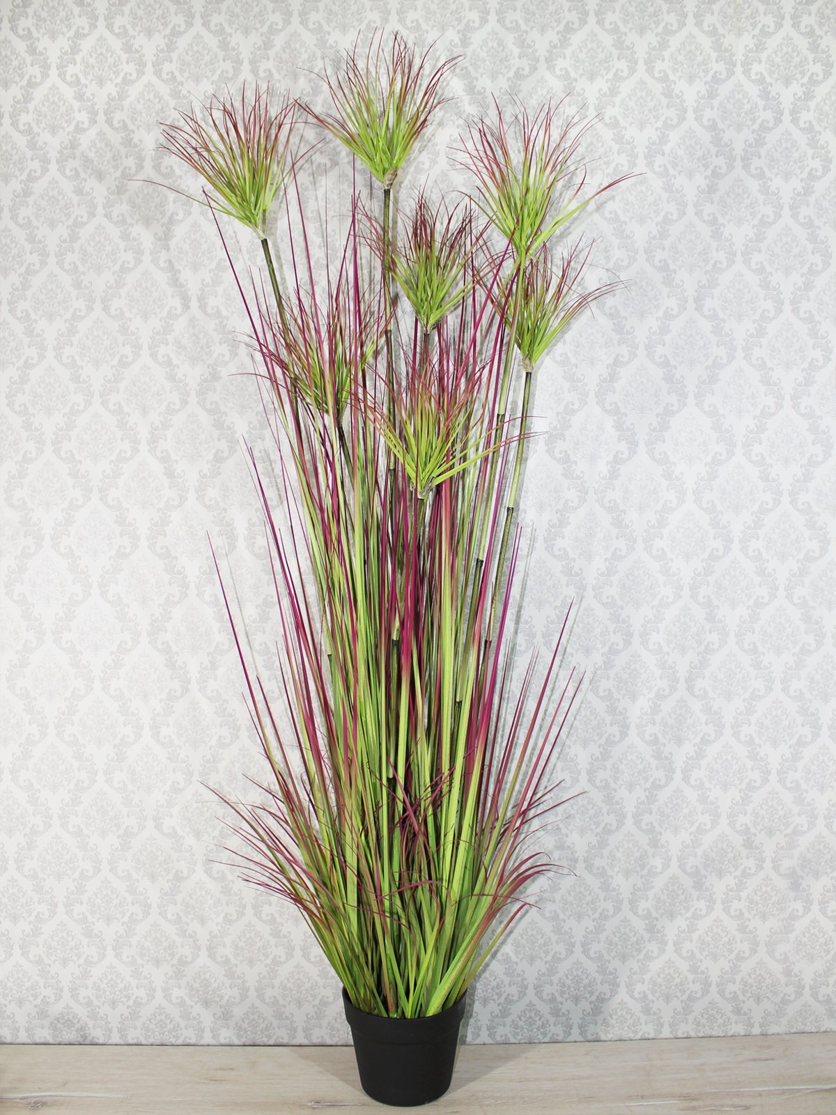 Циперус тростник