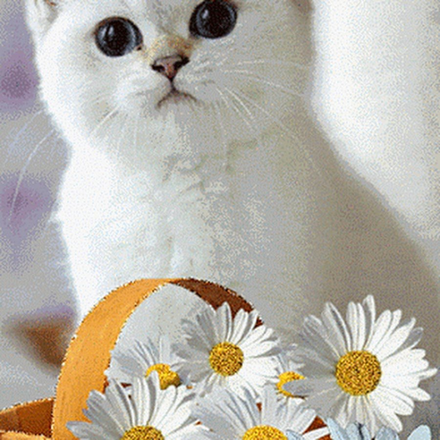 Открытки с добрым утром прикольные