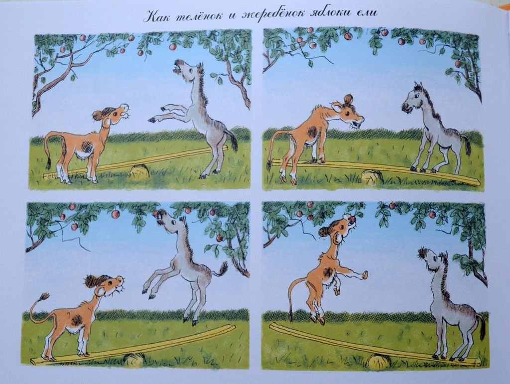 Рассказ грибы Катаев