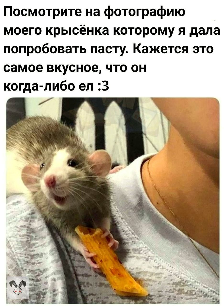 Популярные мемы