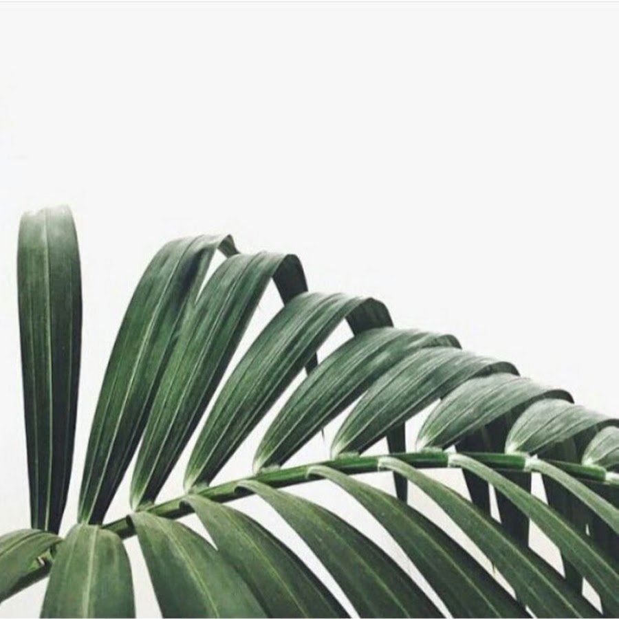 Цветок с пальмовыми листьями