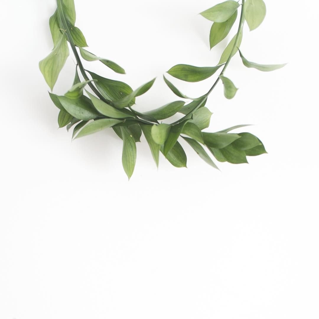 Листья Минимализм