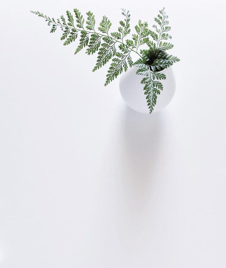 Круг с листьями вектор