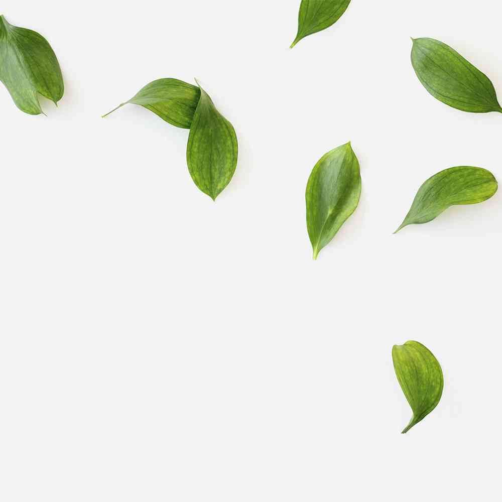 Папоротник паттерн