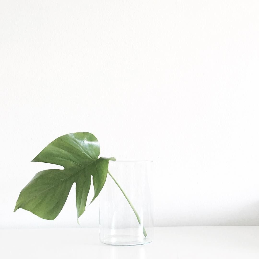 Листья акварель