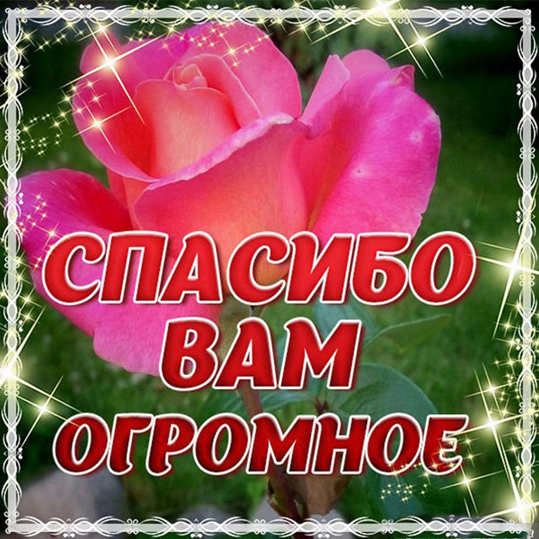 Спасибо родная