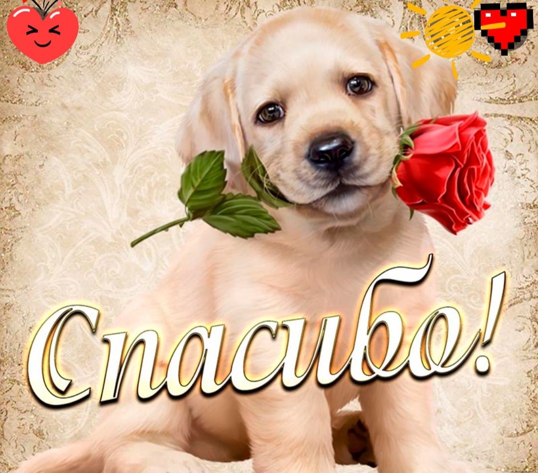 Спасибо очень приятно