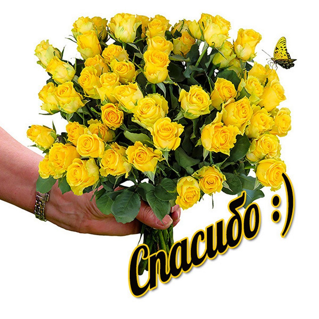 Спасибо за помощь