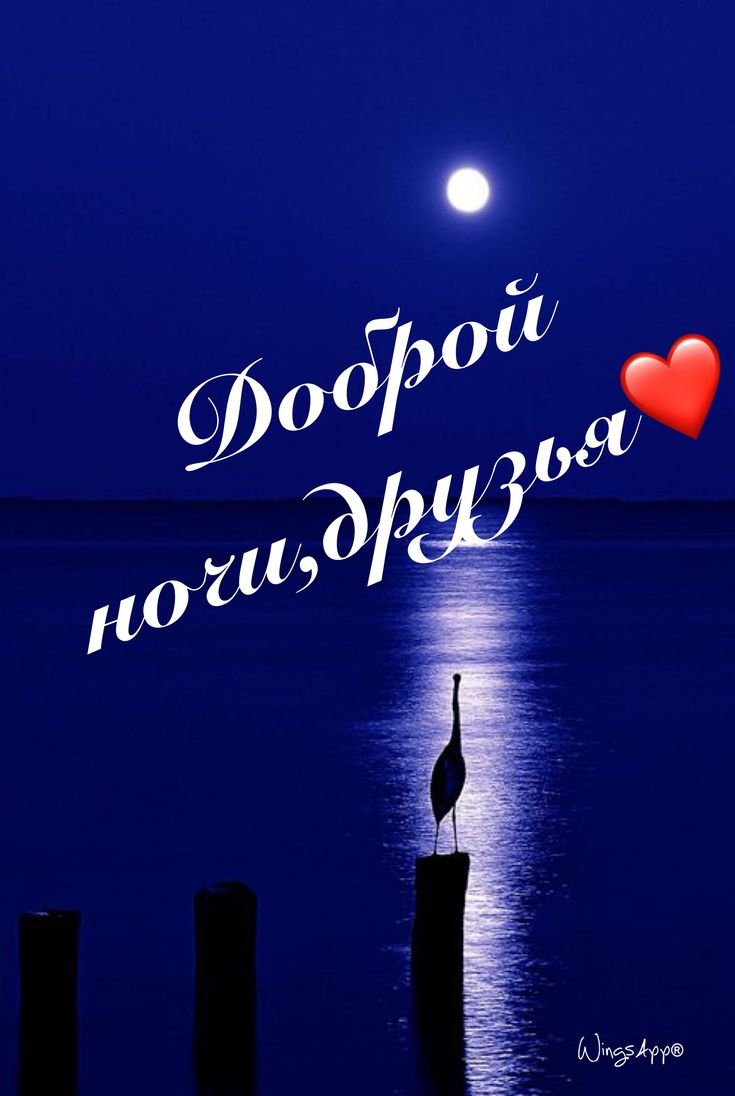 Добрым людям доброй ночи