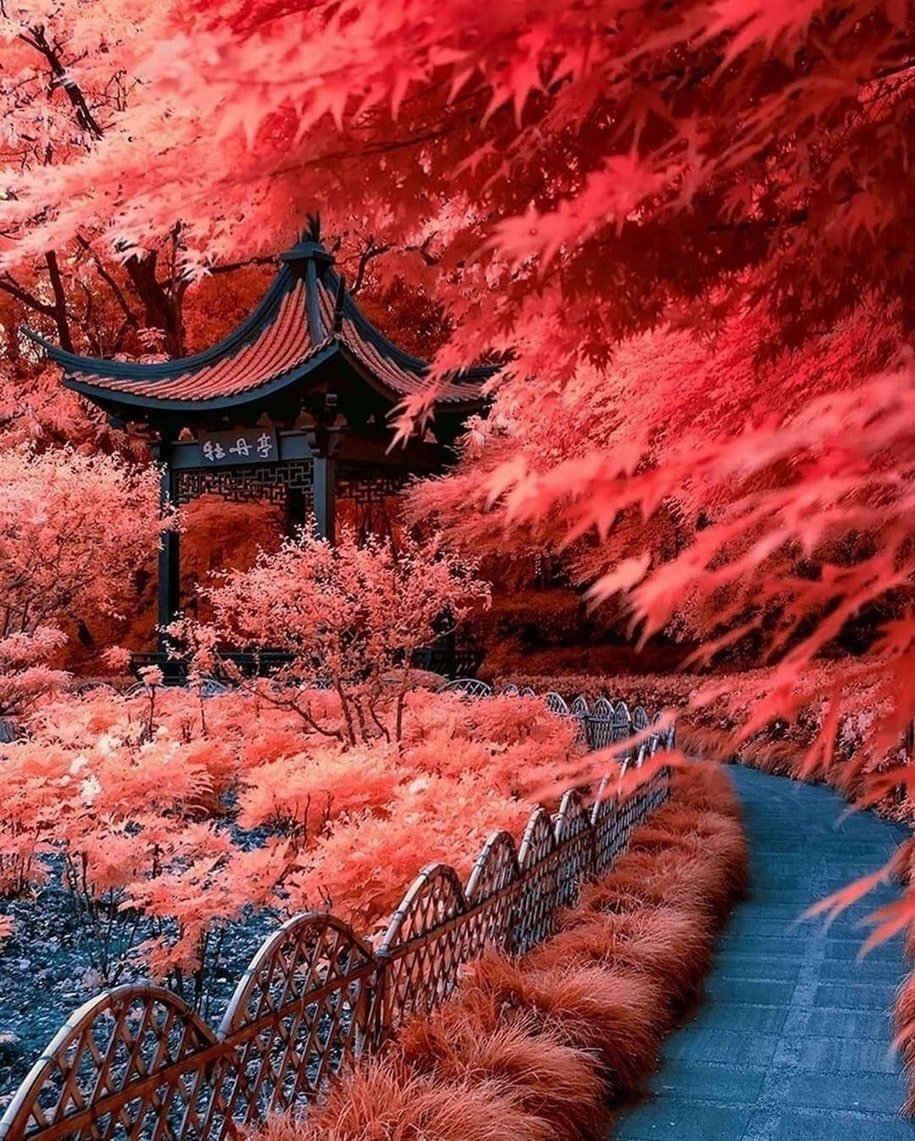 Китай осенью