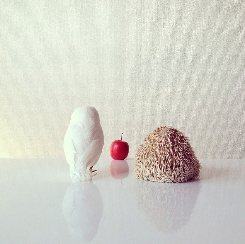 Ёжик Эстетика