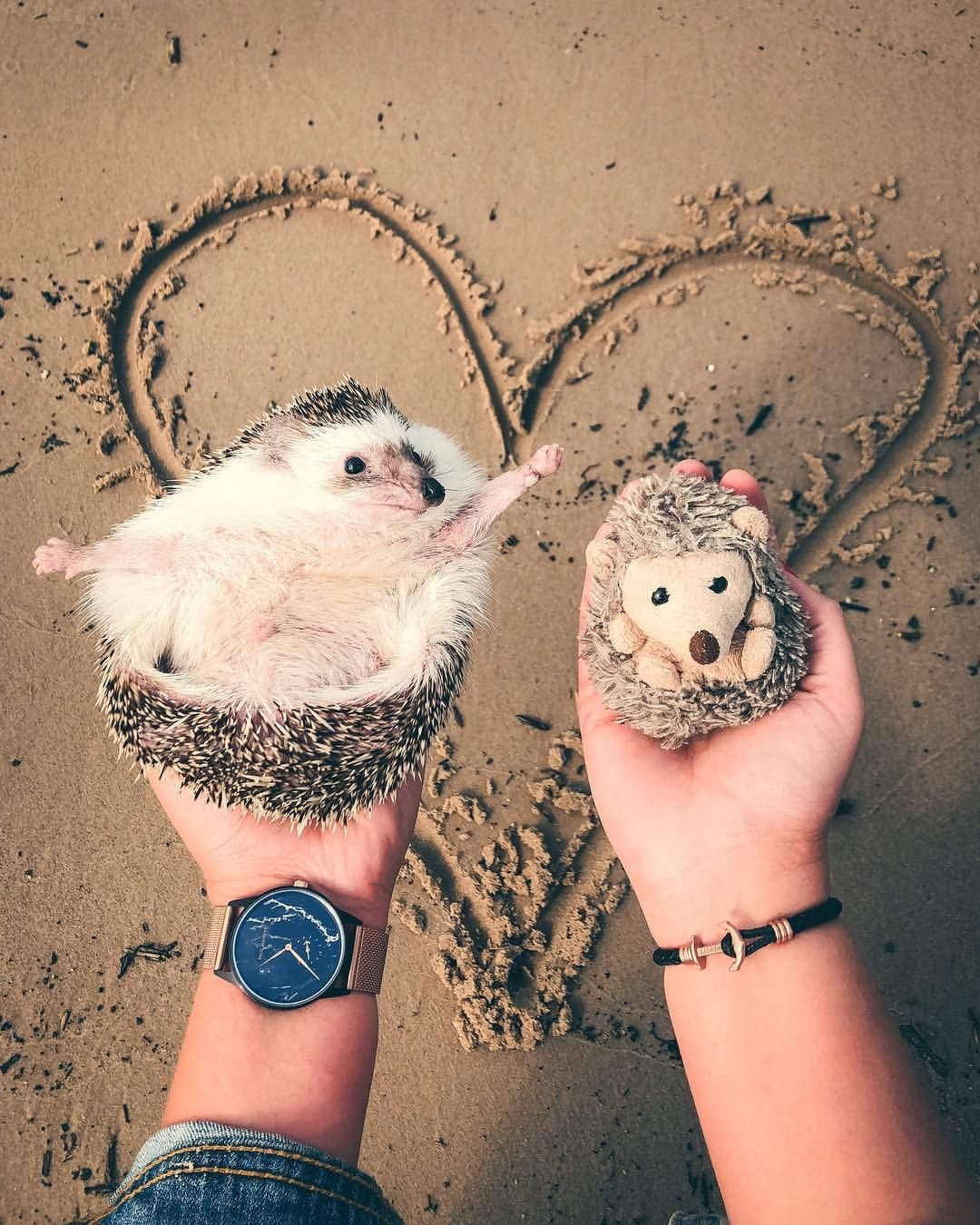 Милота улыбка