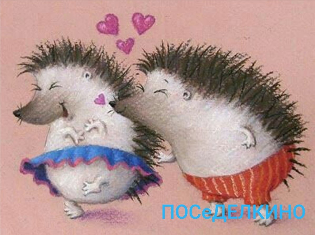 Ежики любовь