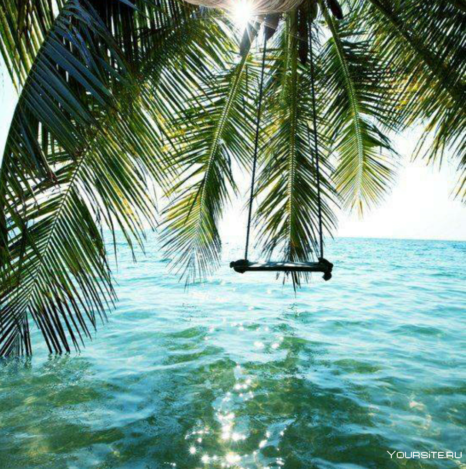 Под пальмой на пляже