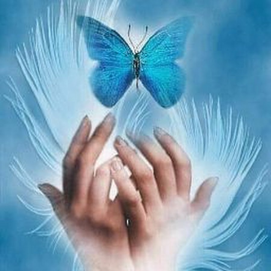 Бабочка душа