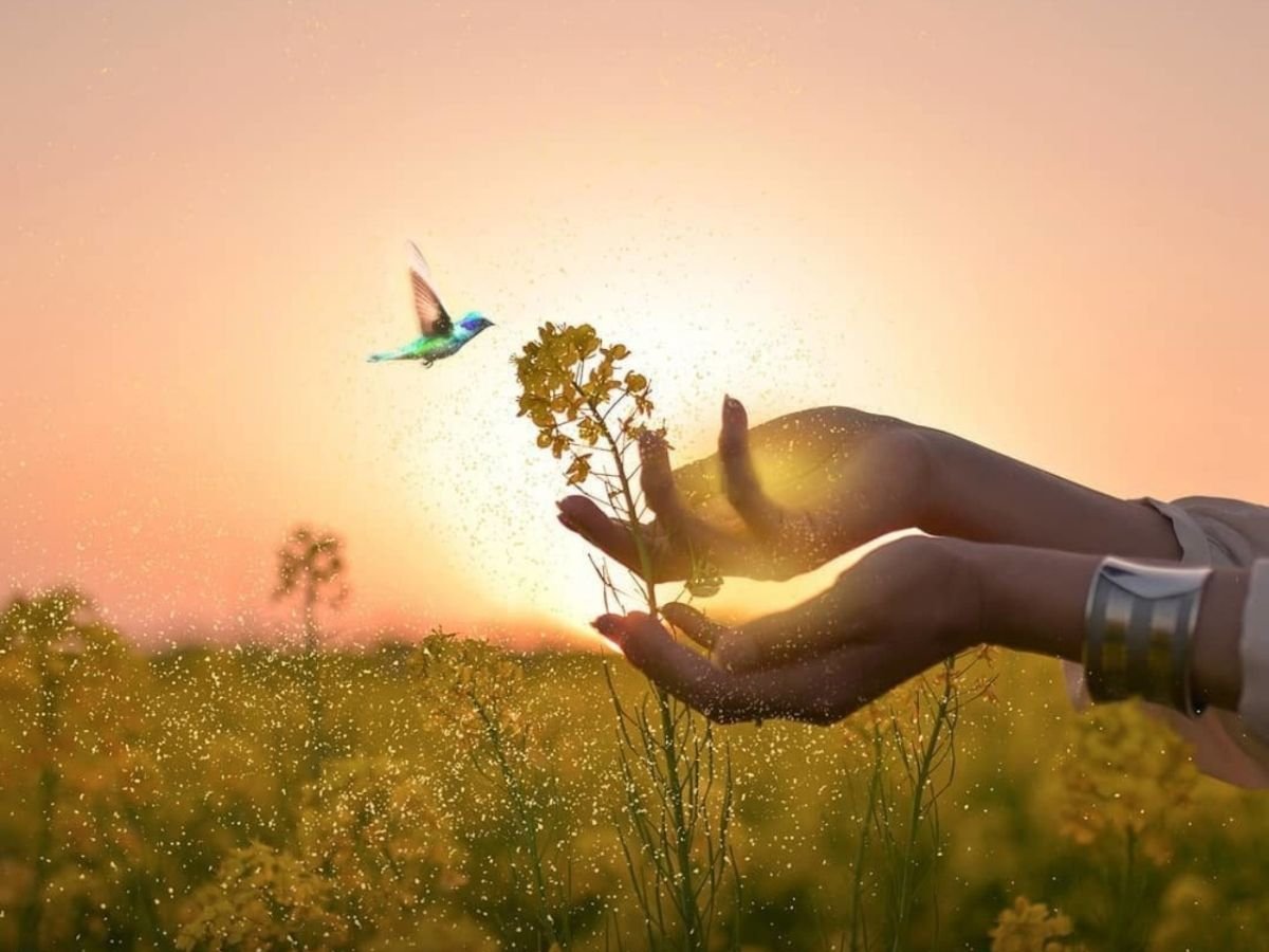 Красота души