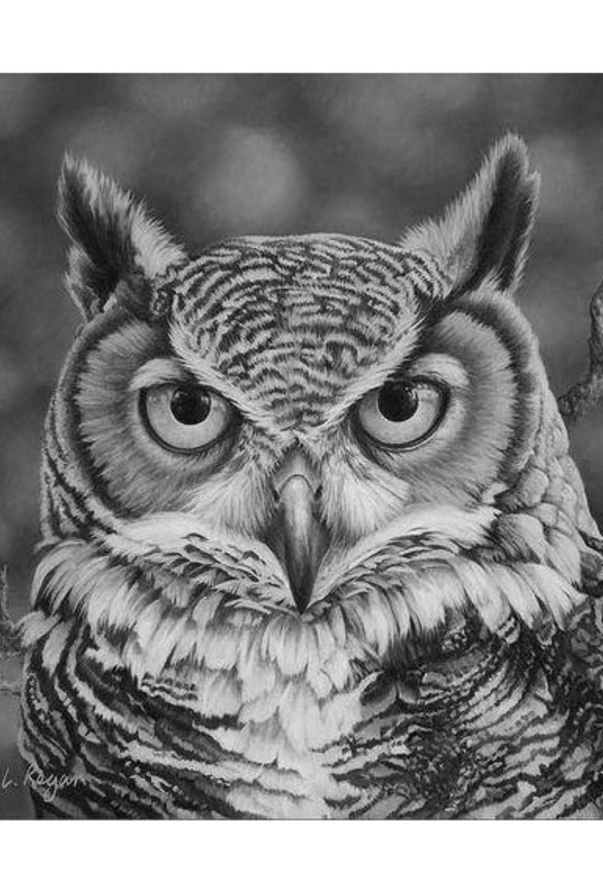 Совиная морда